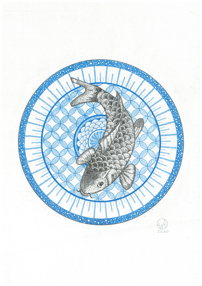 Carpe koi, 21 x 29.7 cm