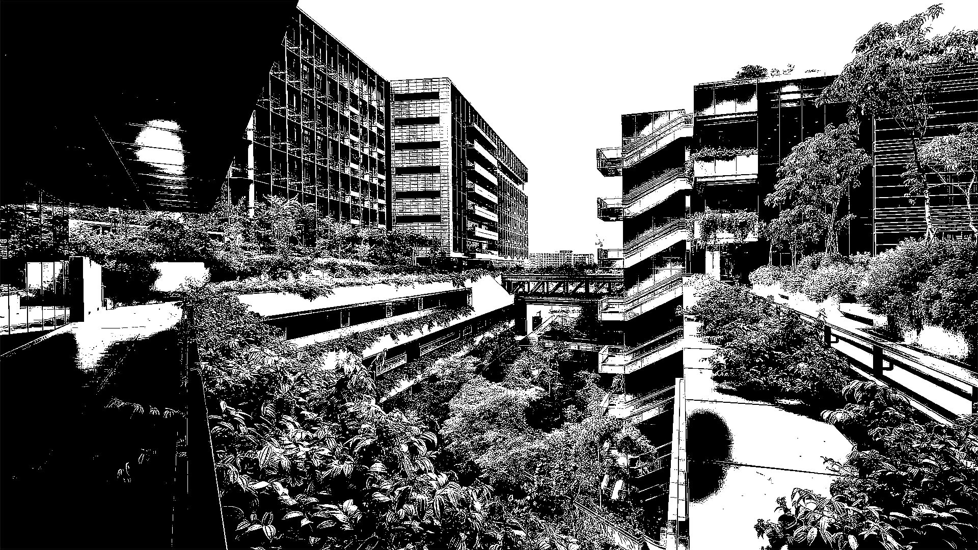 Black & White Threshold Image