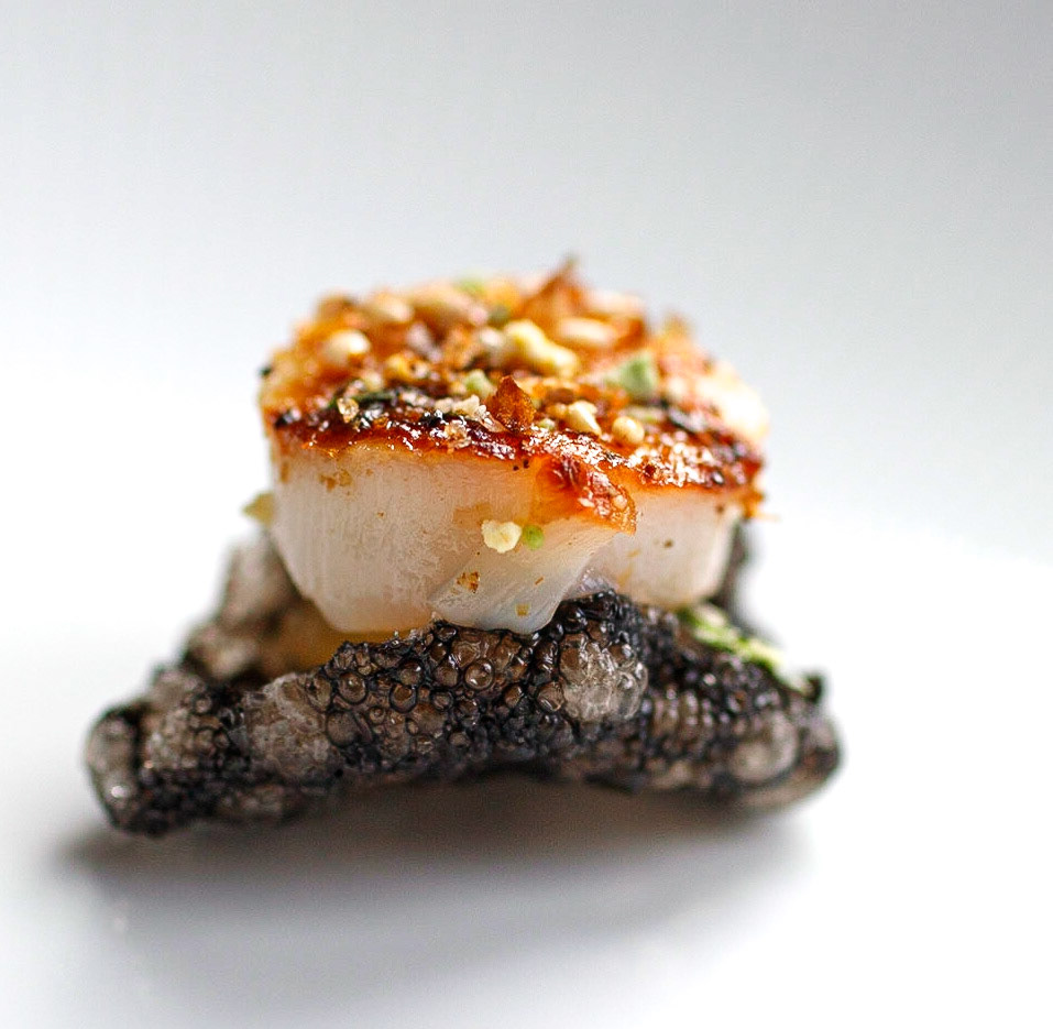 SCALLOP, TAPIOCA