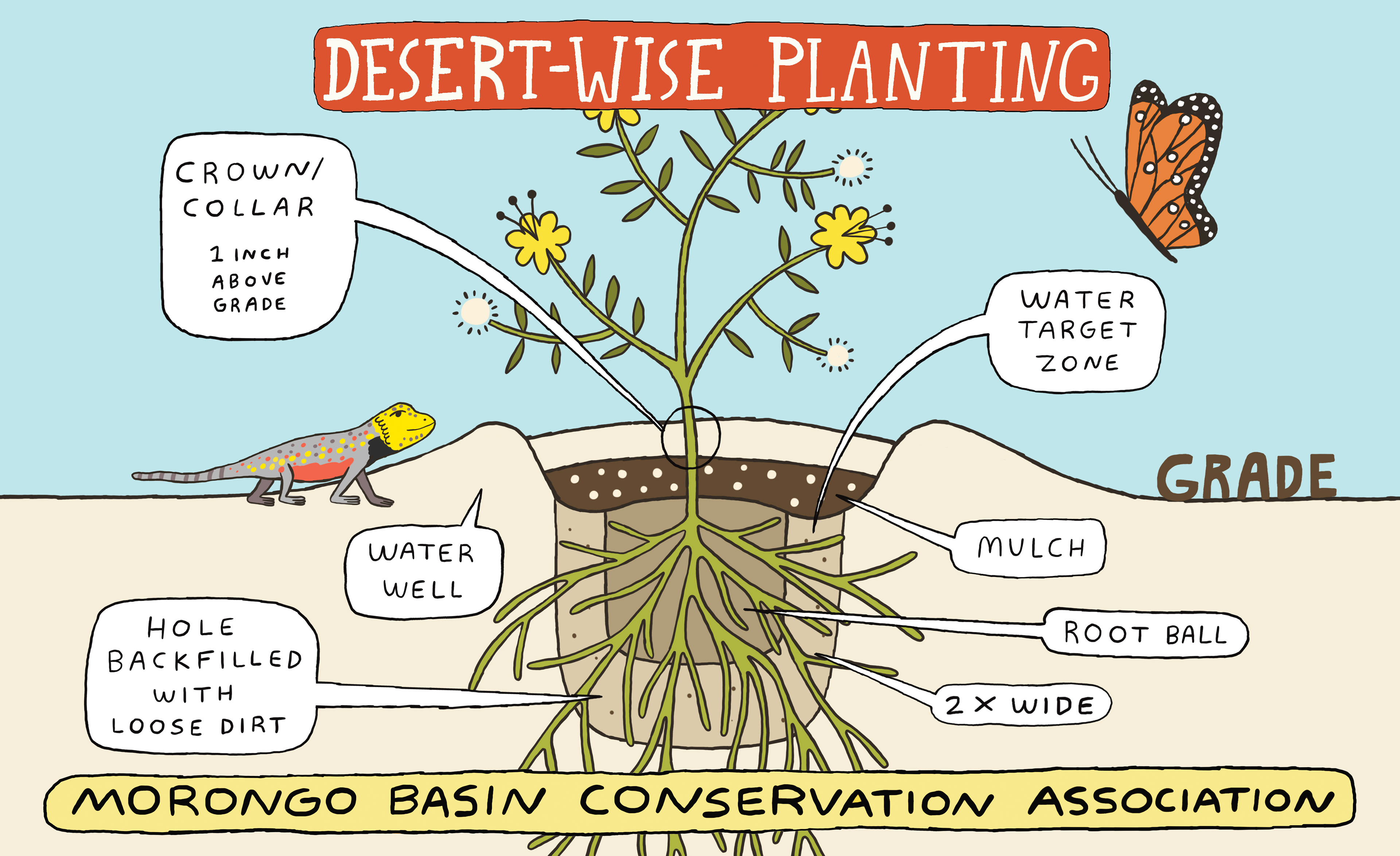 Morongo Basin Conservation Association annimation still