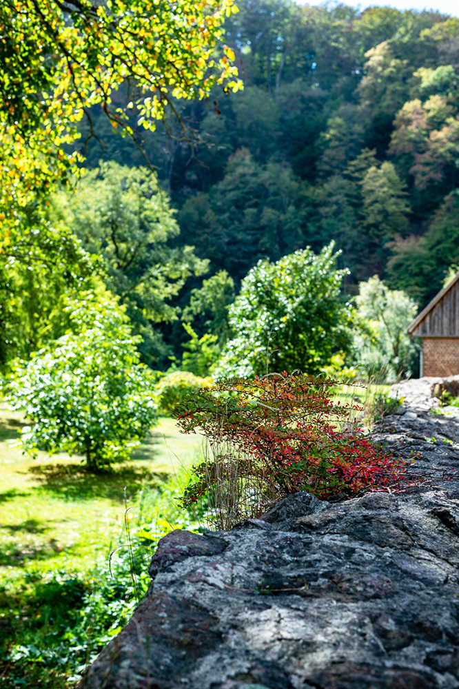 Klostergarten, Klosterbuch, Leisnig. Foto @ Mirko Joerg Kellner