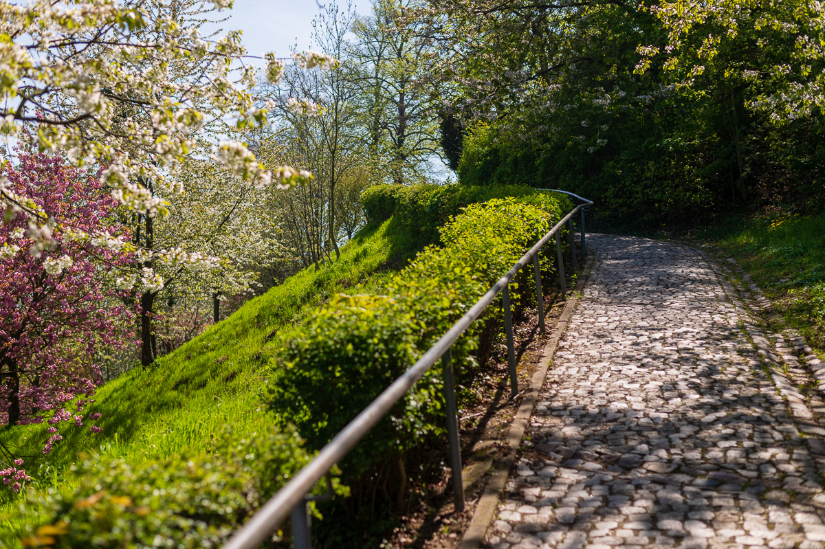 Spazierweg hinauf zum Forte Belvedere am Lutherweg in Leisnig. Foto © Mirko Joerg Kellner