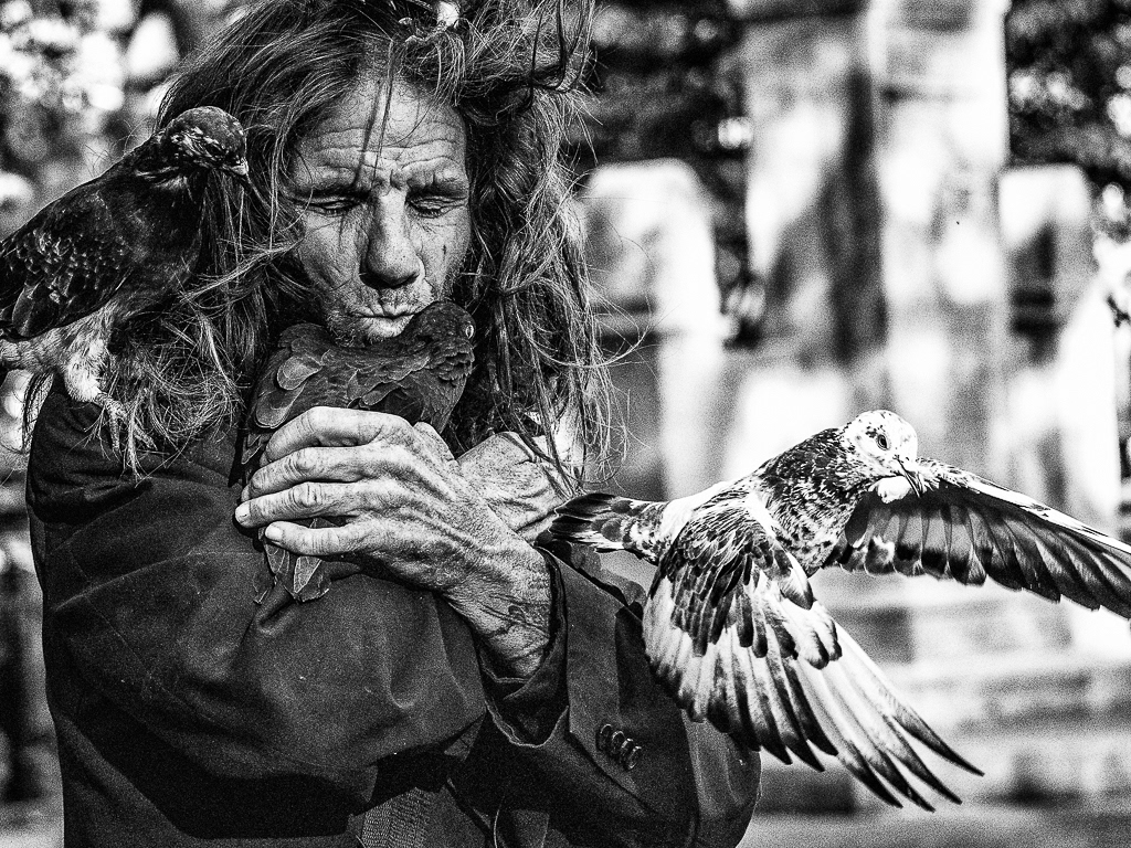 People -3rd Place: Honor of Distinction