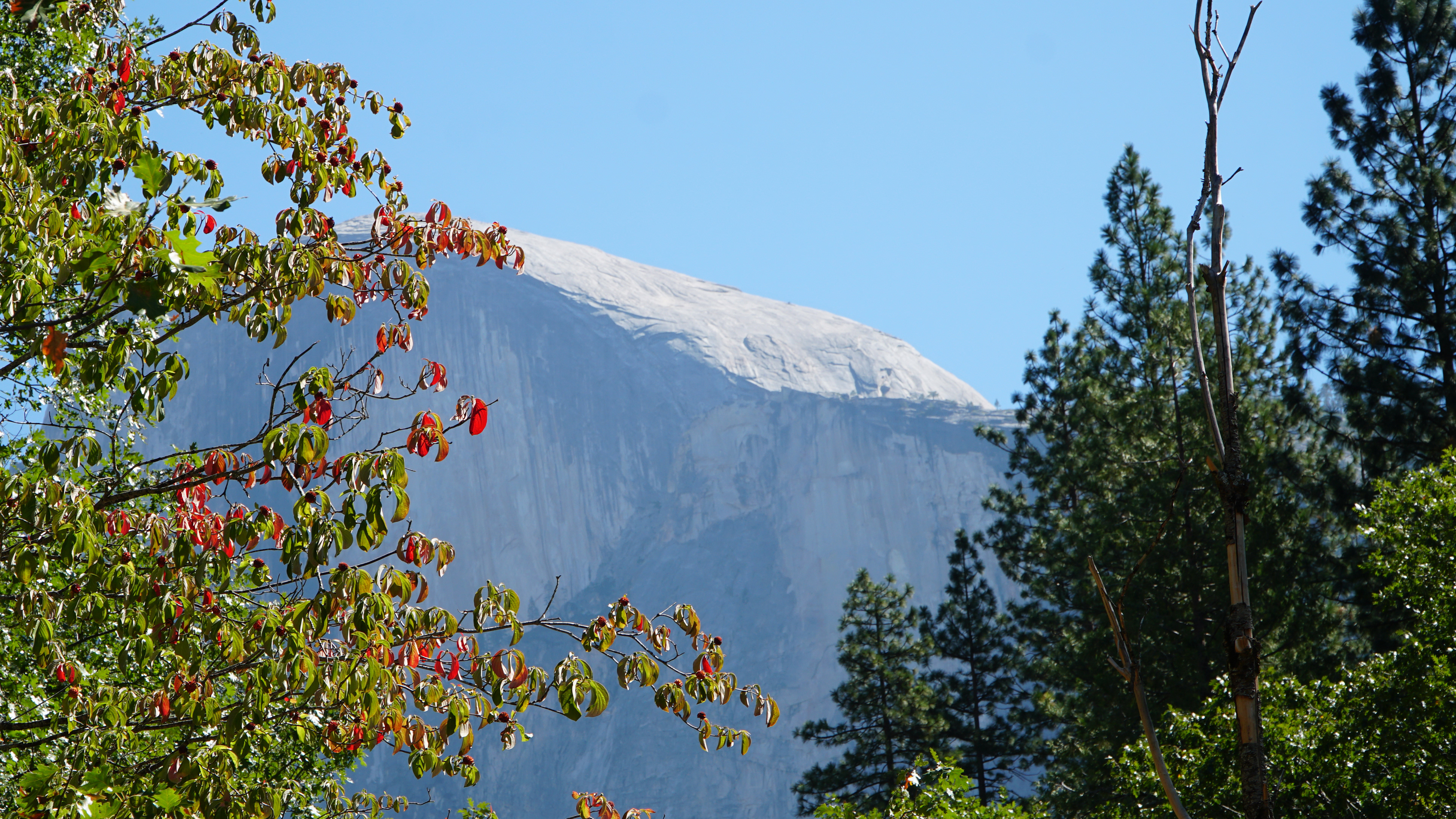 Taken by Shona Murray 