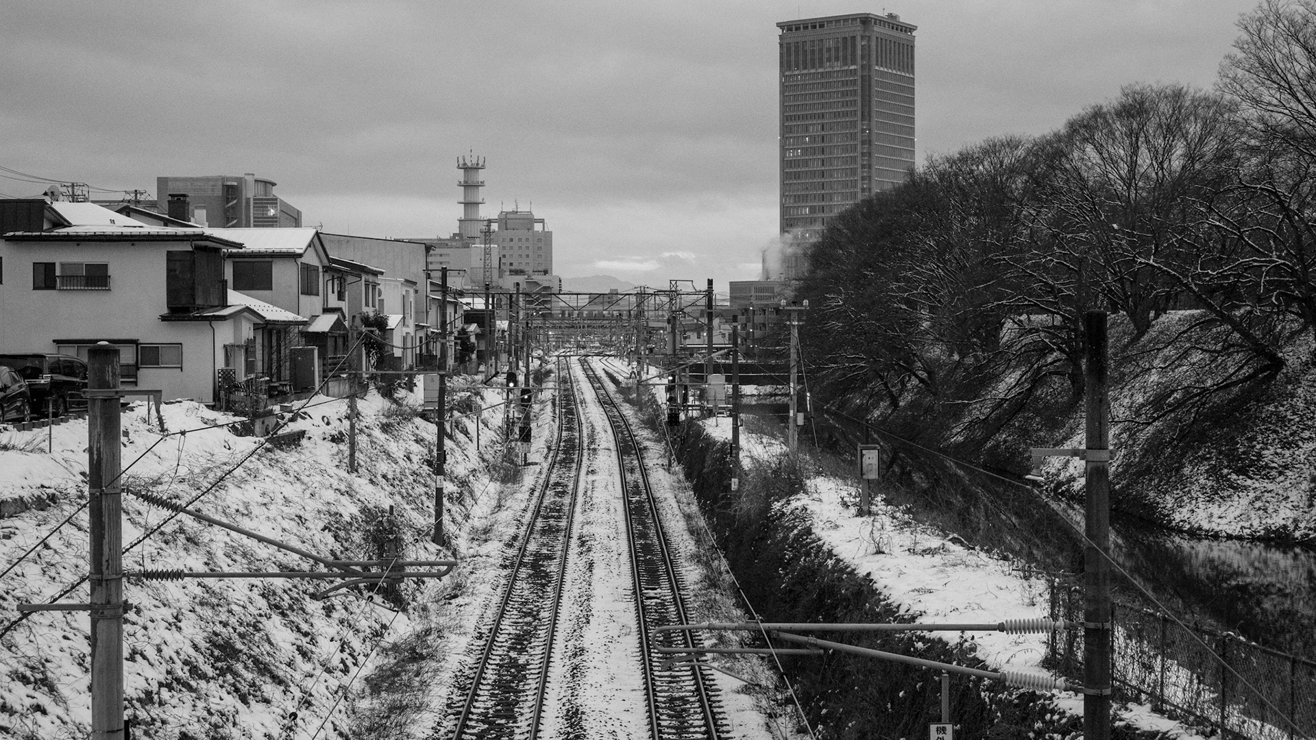 Taken by Shona Murray