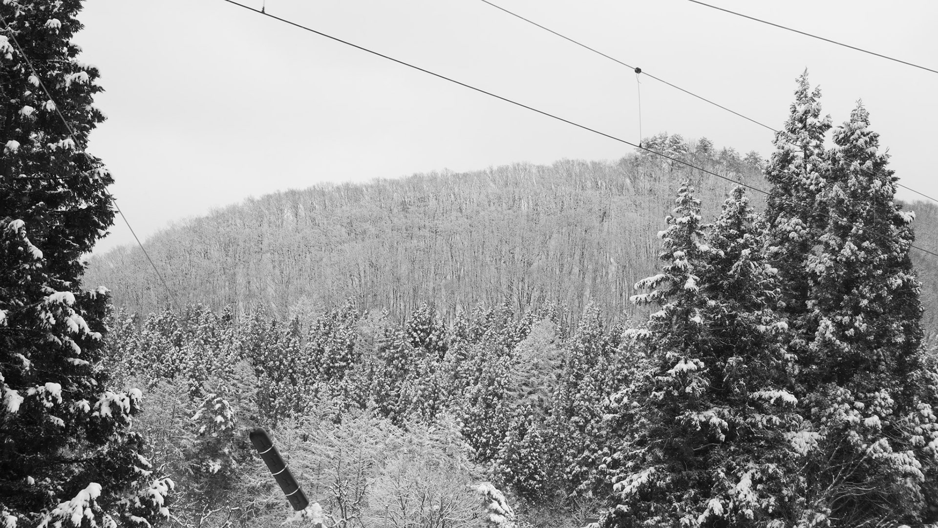 Taken by Shona Murray