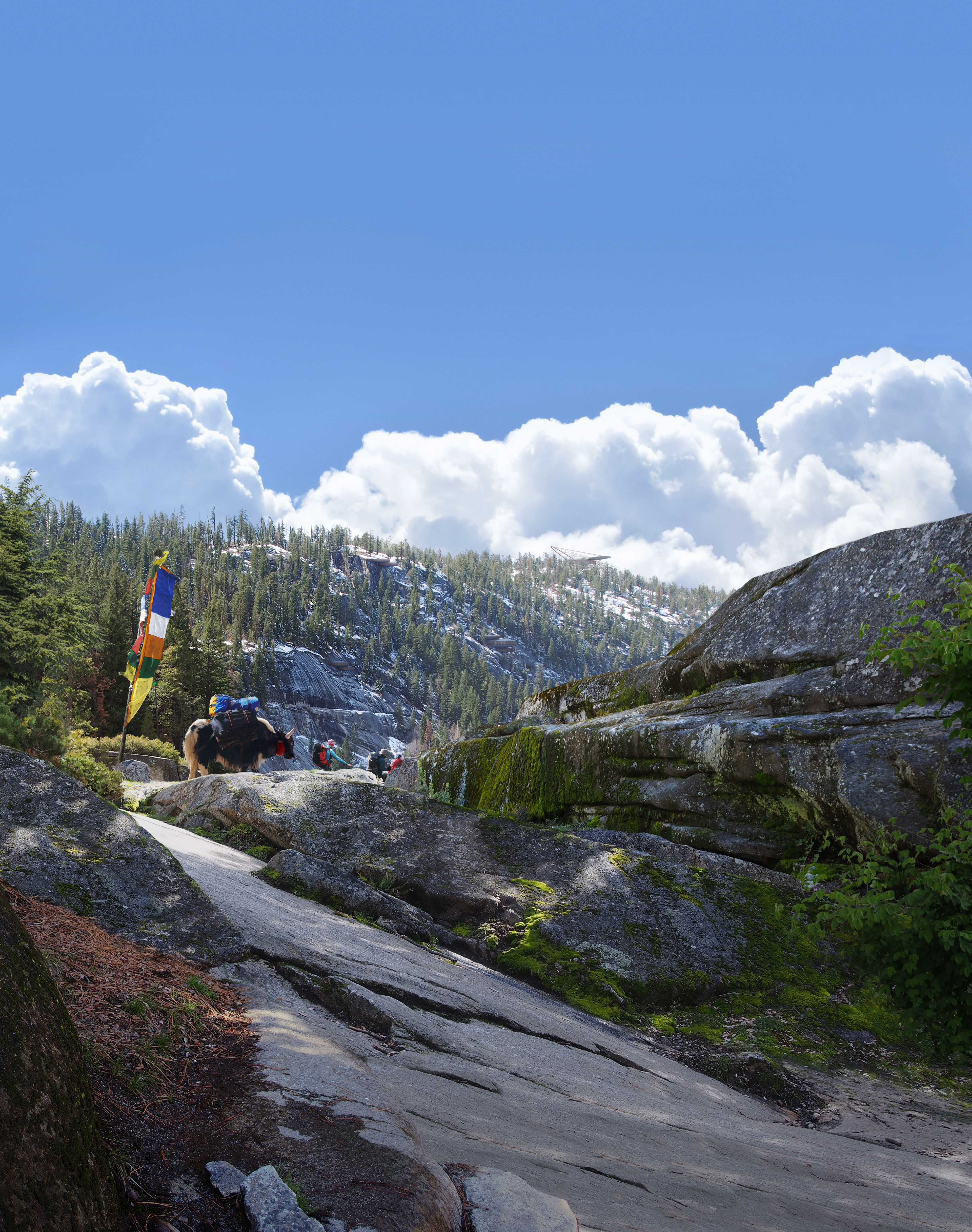 Yak trekking to Luxurious Mountain Lodges - Machhapuchhre, Nepal