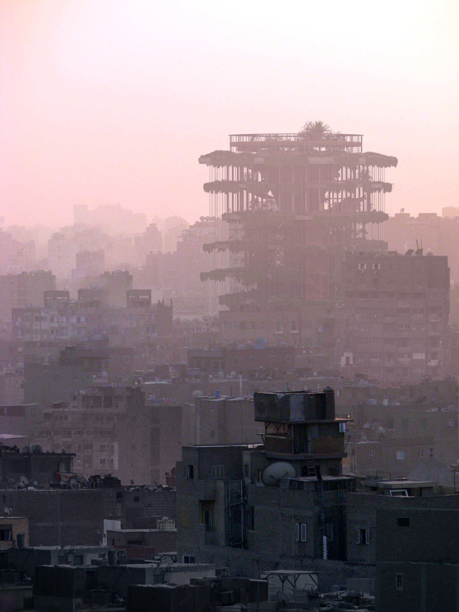 Islam Mosleh El Mashtooly - Cairo Probiotic Tower - Cairo, Egypt