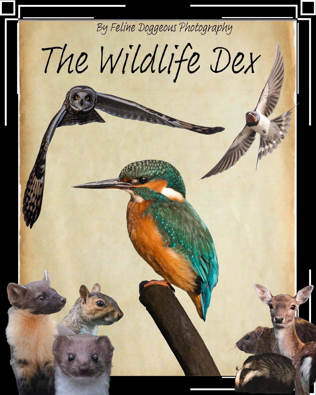 The Wildlife Dex book 