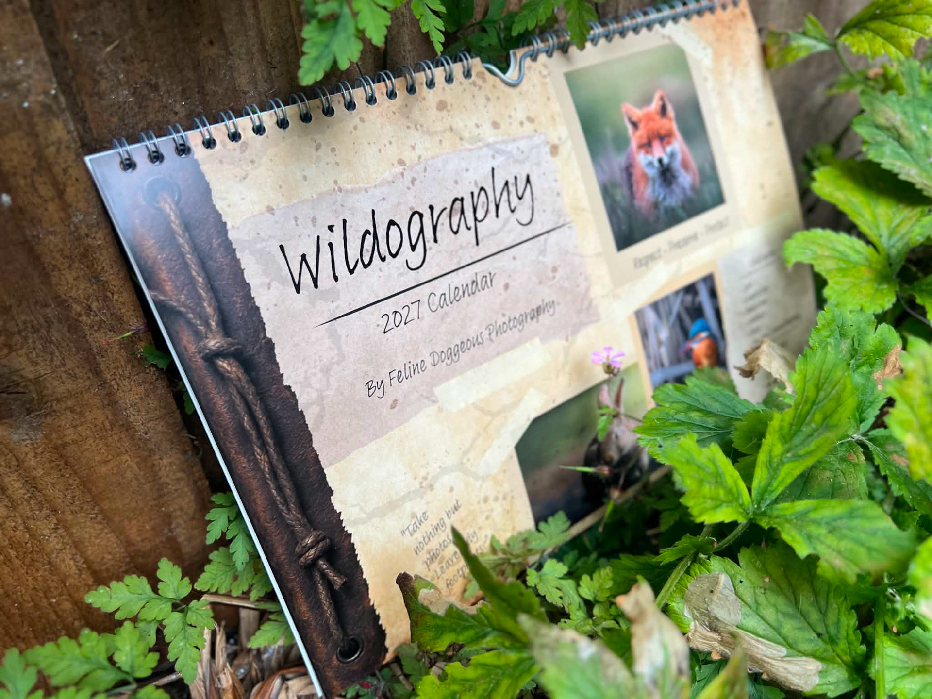 Wildography 2027 Calendar 