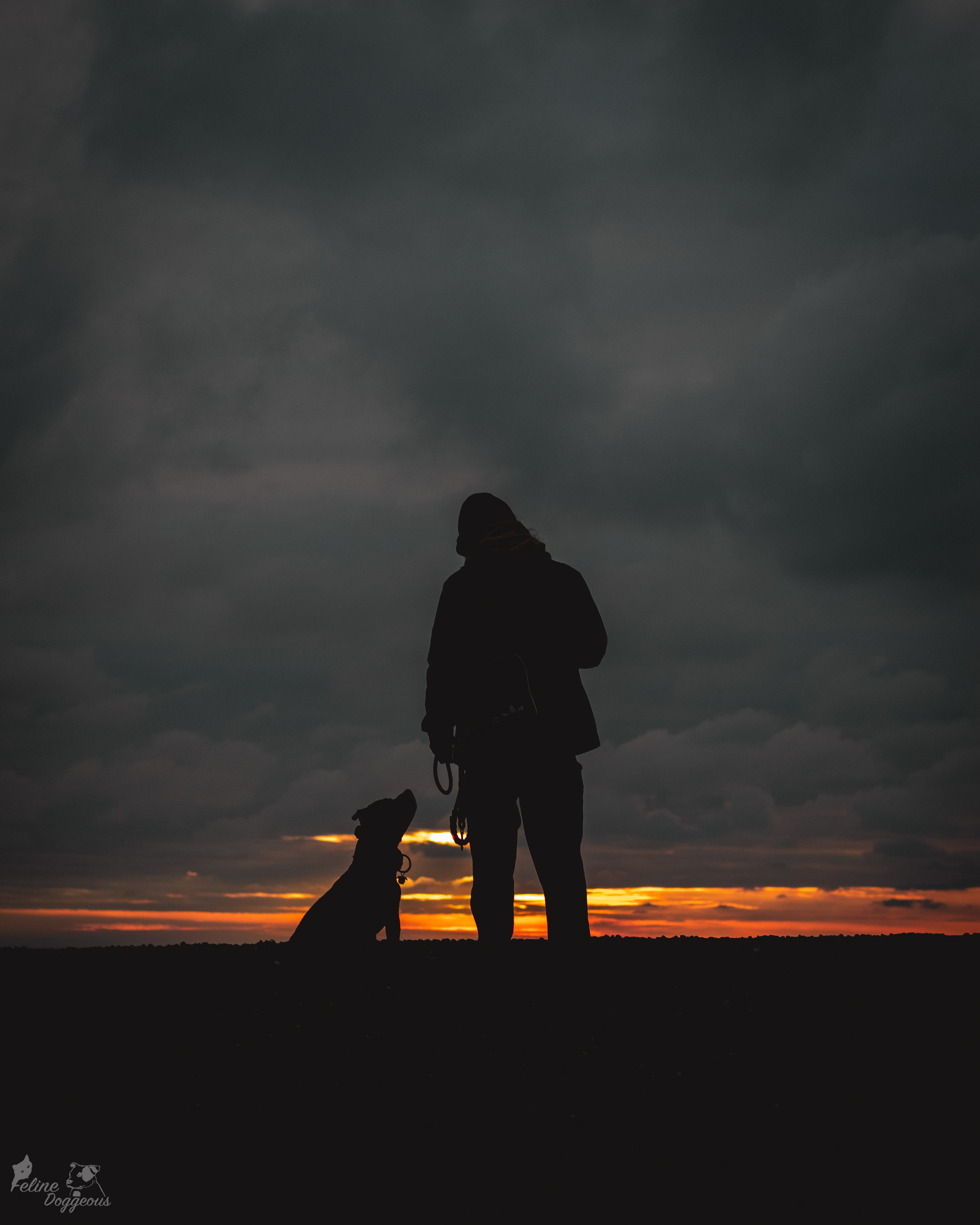 Staffy and owner silhouette
