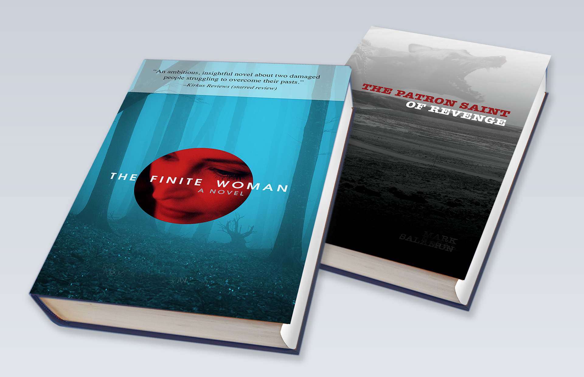 Book Jacket Design