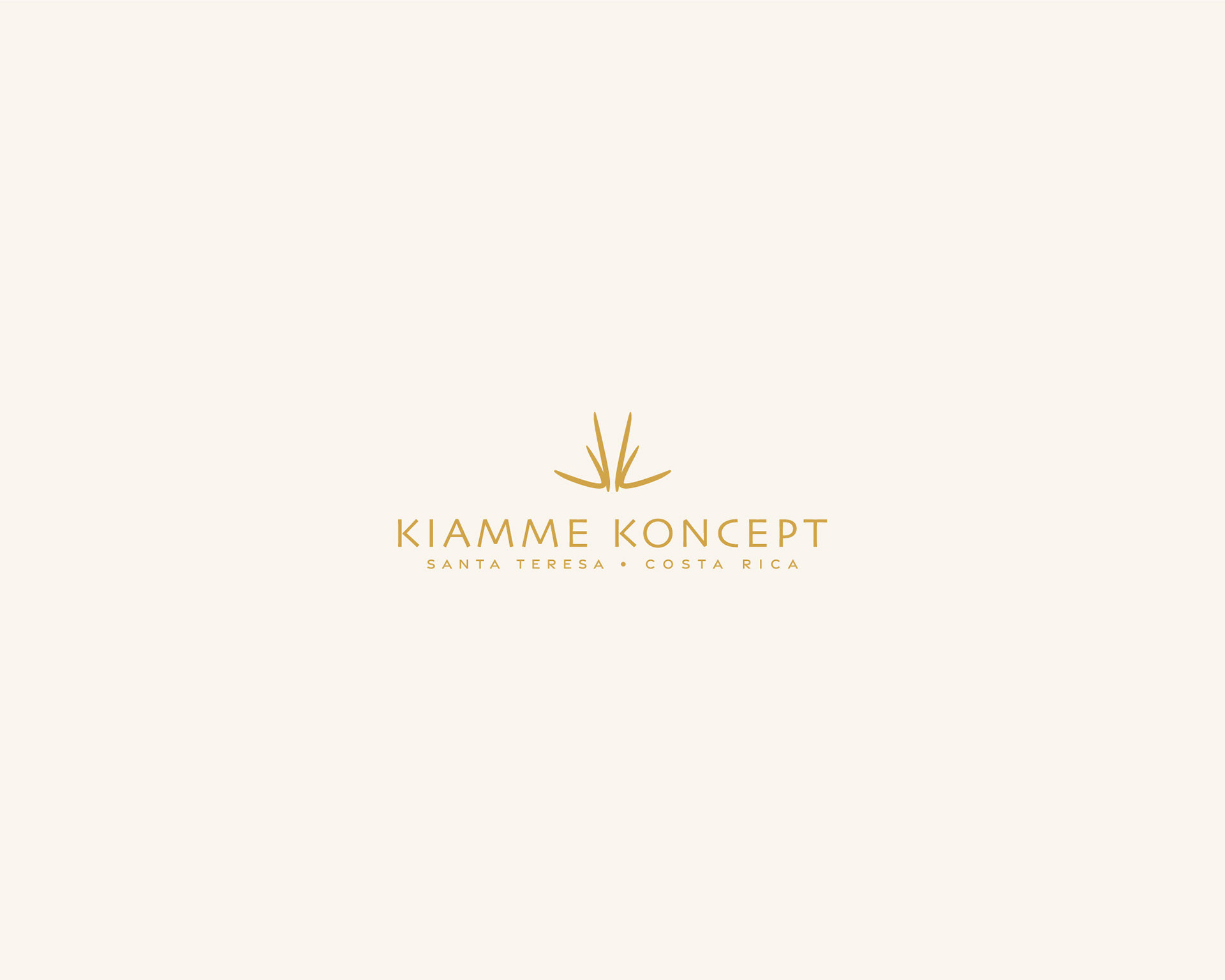 KIAMME KONCEPT