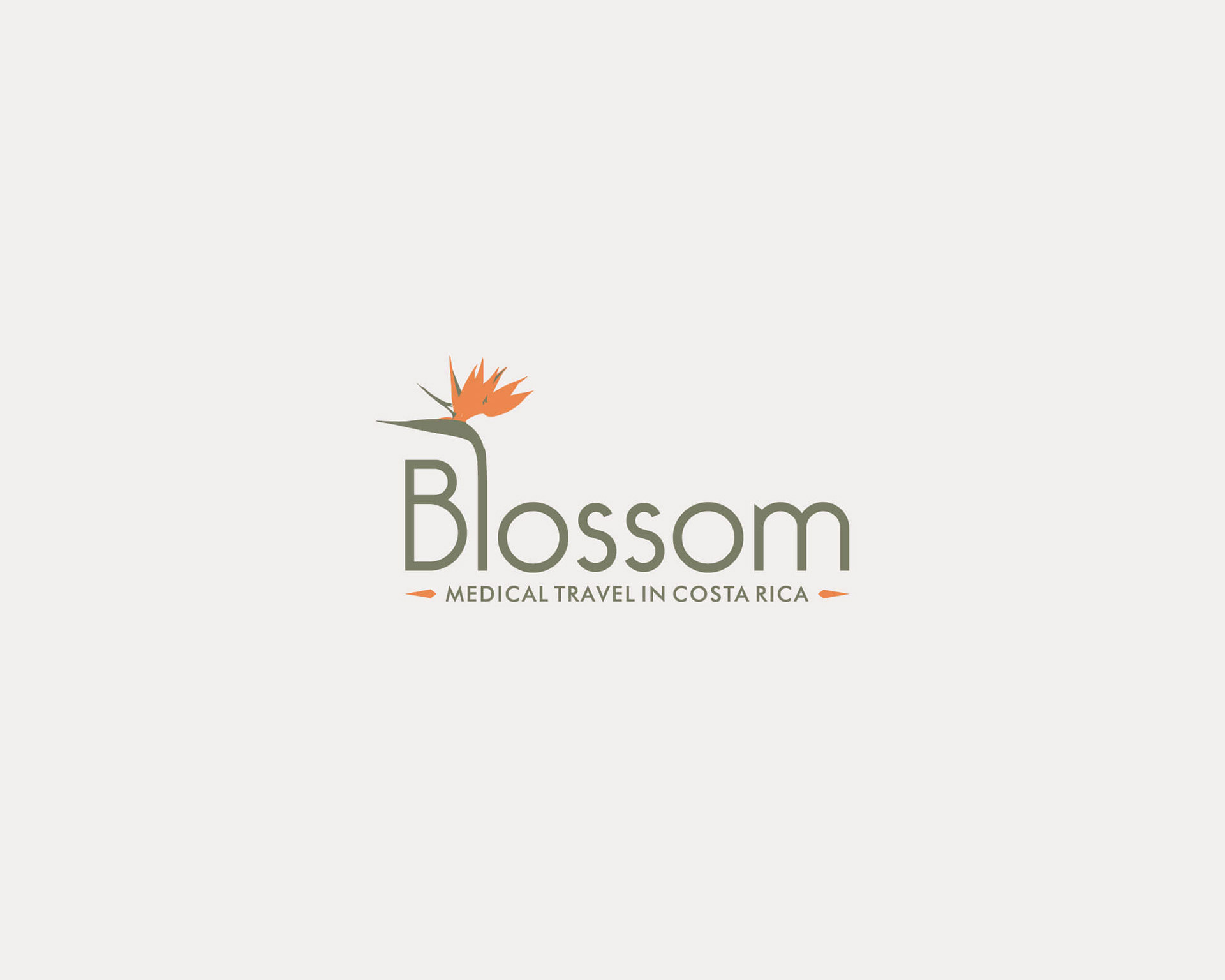 Blossom