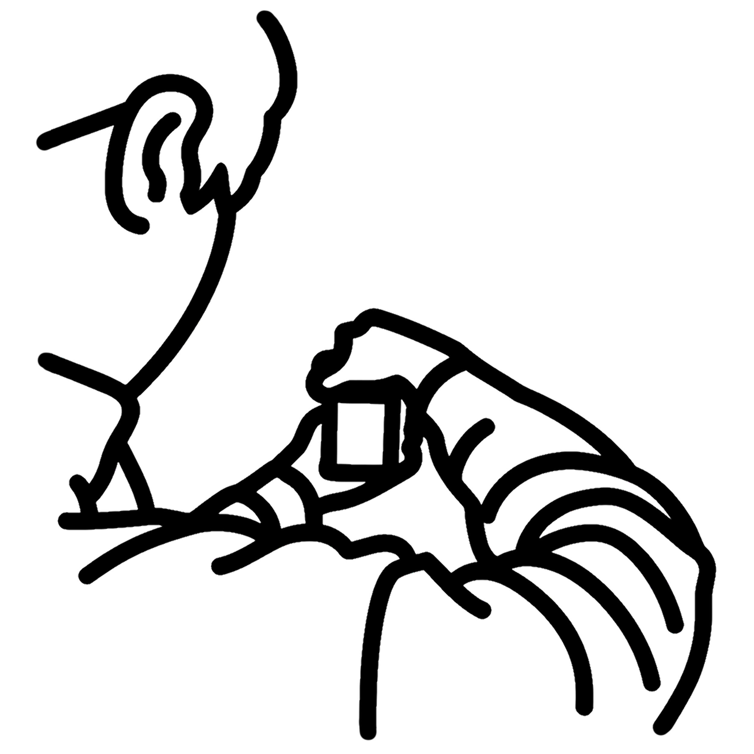 bytommymedia logo