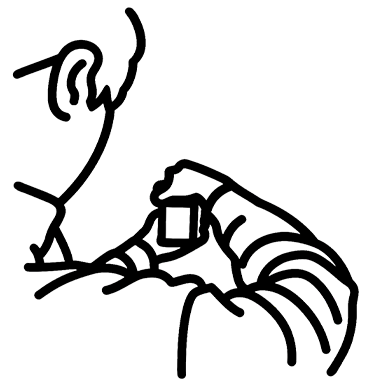 bytommymedia logo