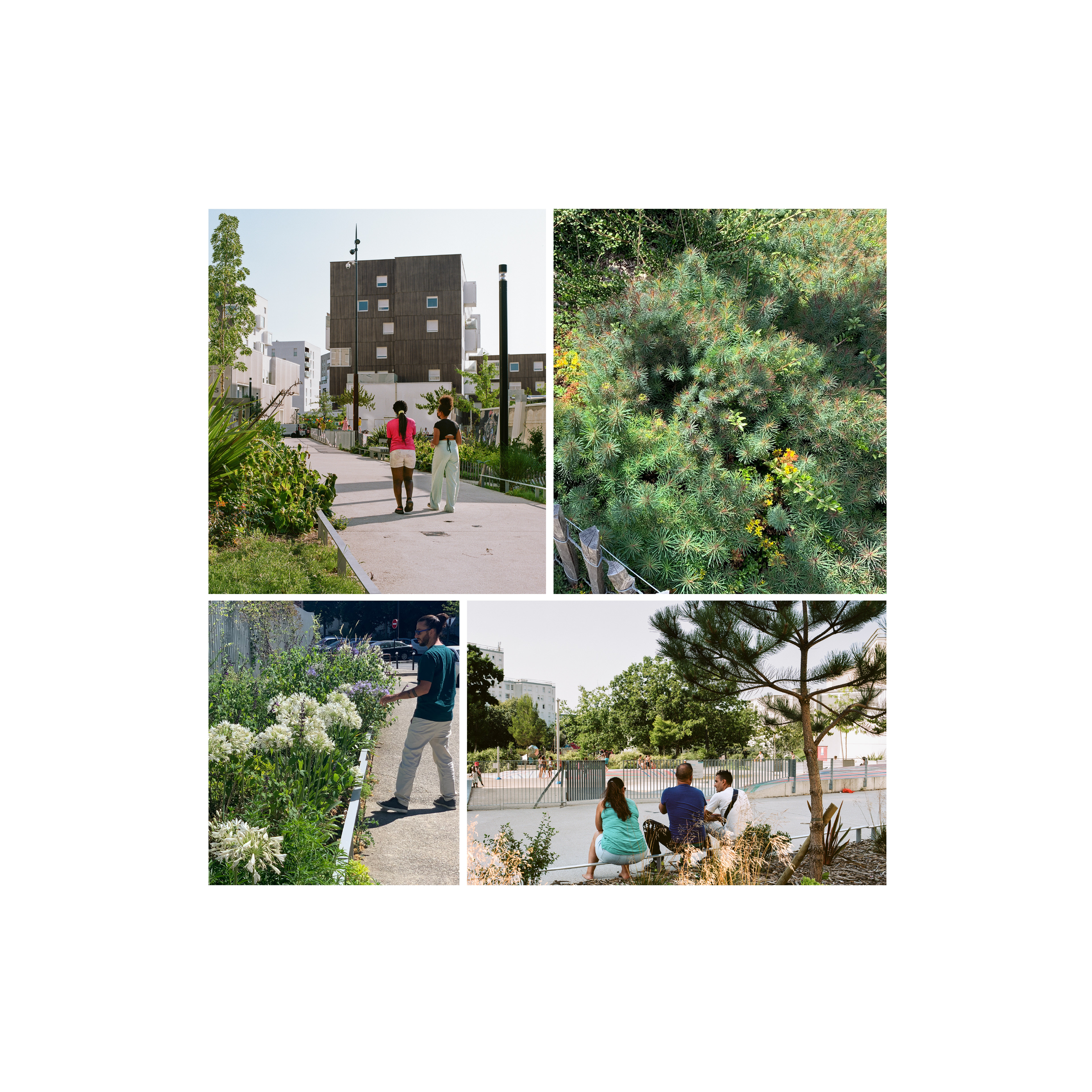 Moss paysage paysagiste concepteur urbaniste urbain projet architecture graphisme design espace designer designeur scénographie urbanism lansdscape architecture Nantes France clos toreau