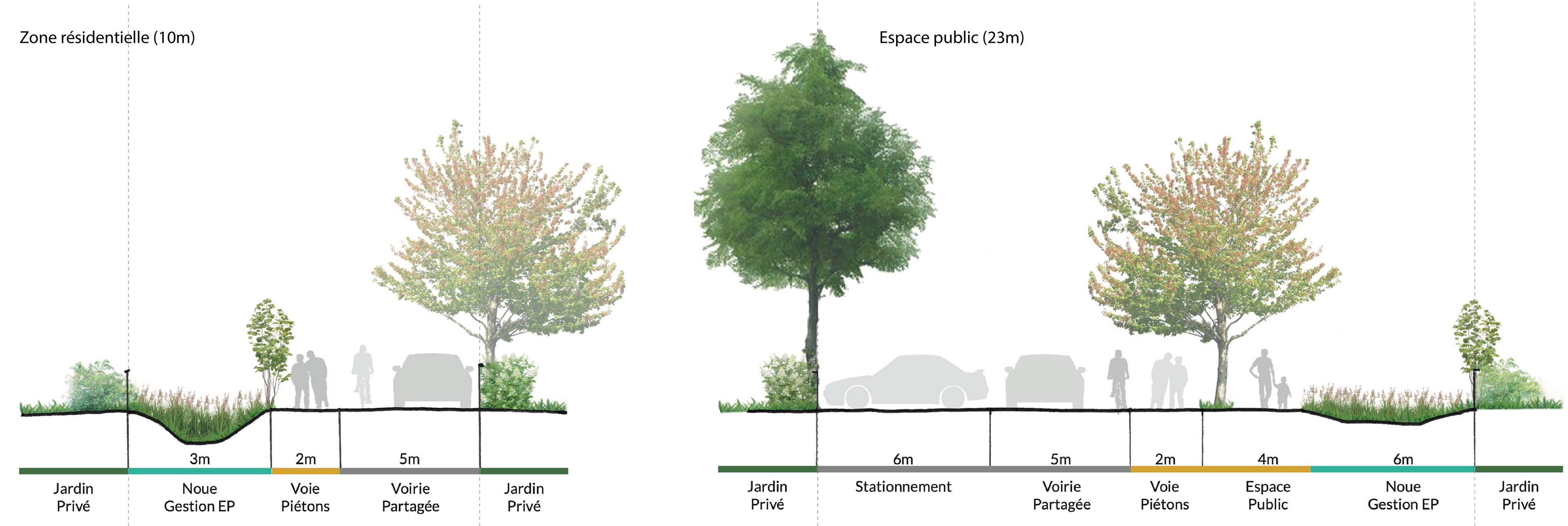 Moss paysage paysagiste concepteur urbaniste urbain projet architecture graphisme design espace designer designeur scénographie urbanism lansdscape architecture pays de la loire bernerie-en-retz bernerie en retz étude programmation multimodale densification coupe usages