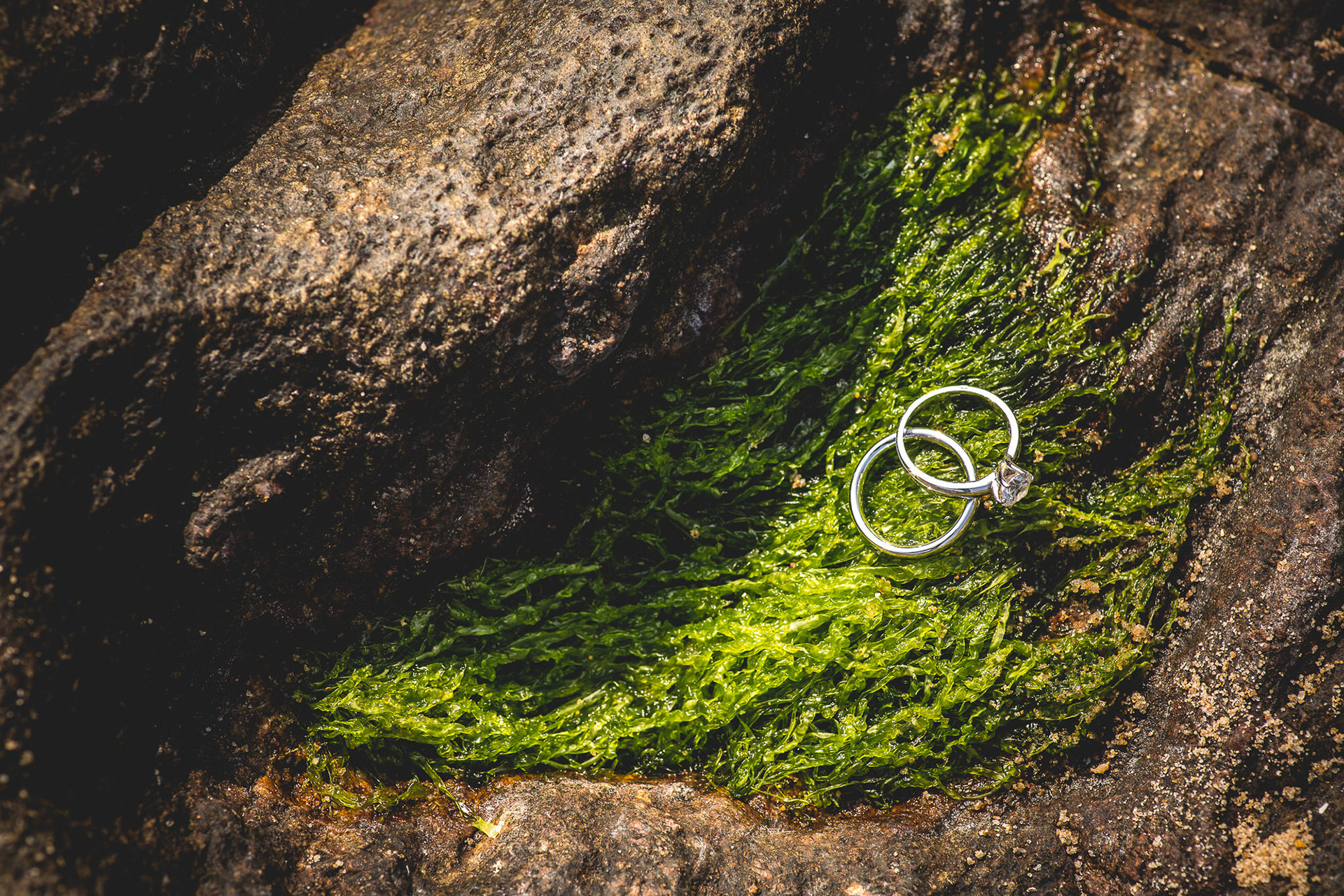 Wedding rings