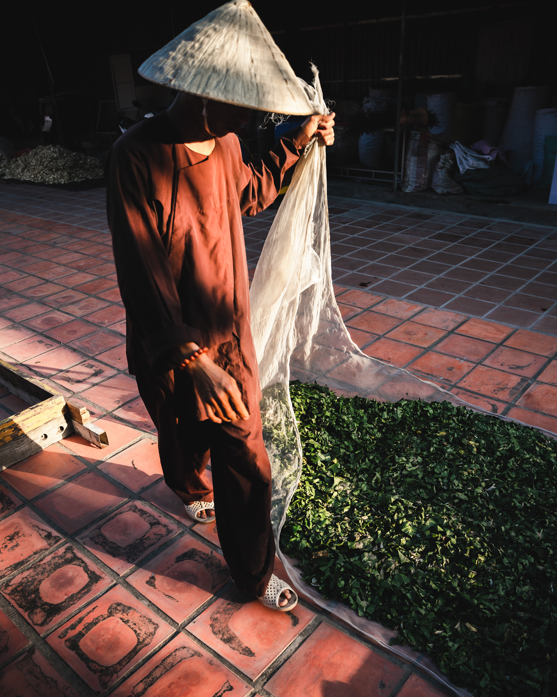 vietnam, 2020