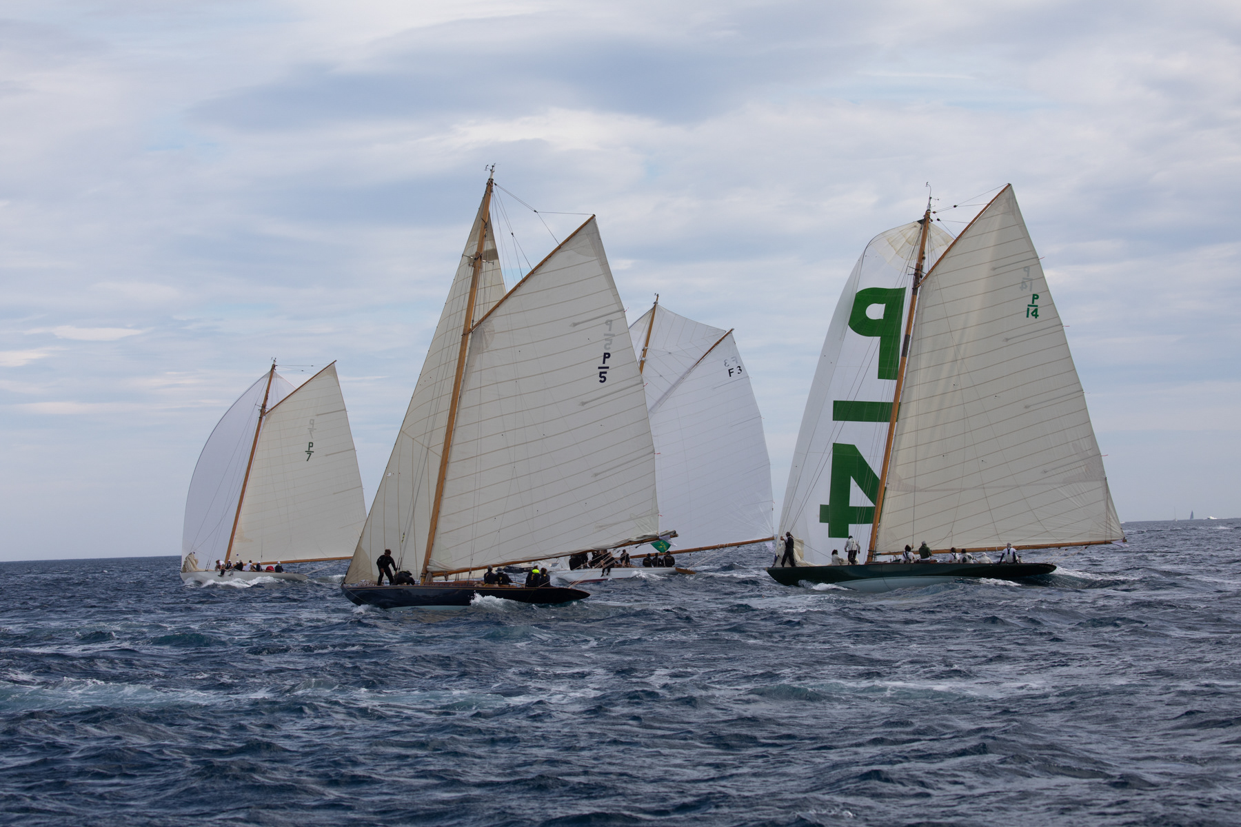 P Class revived from early 1900's 