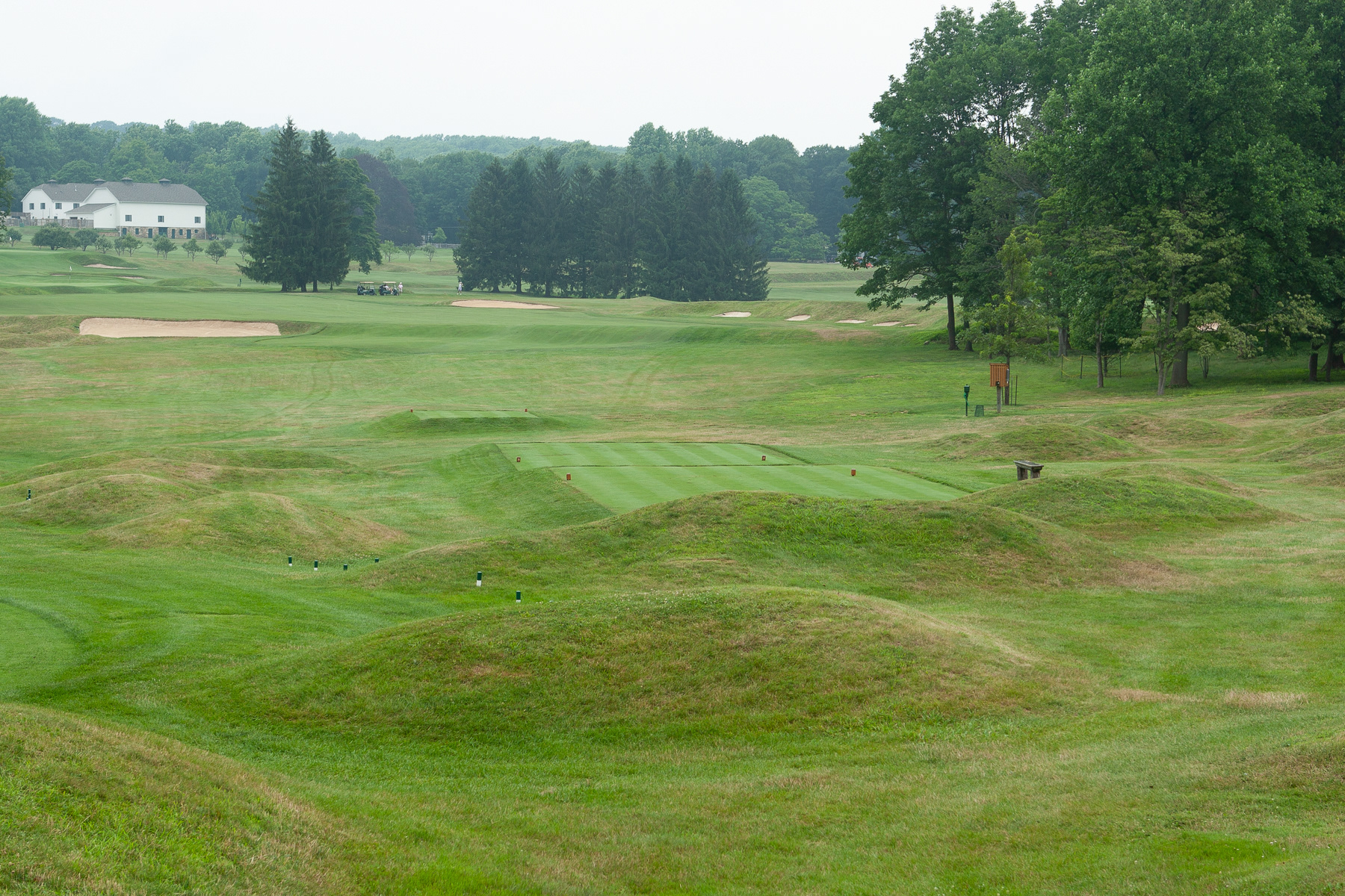 Somerset Hills 5th-Tillinghas