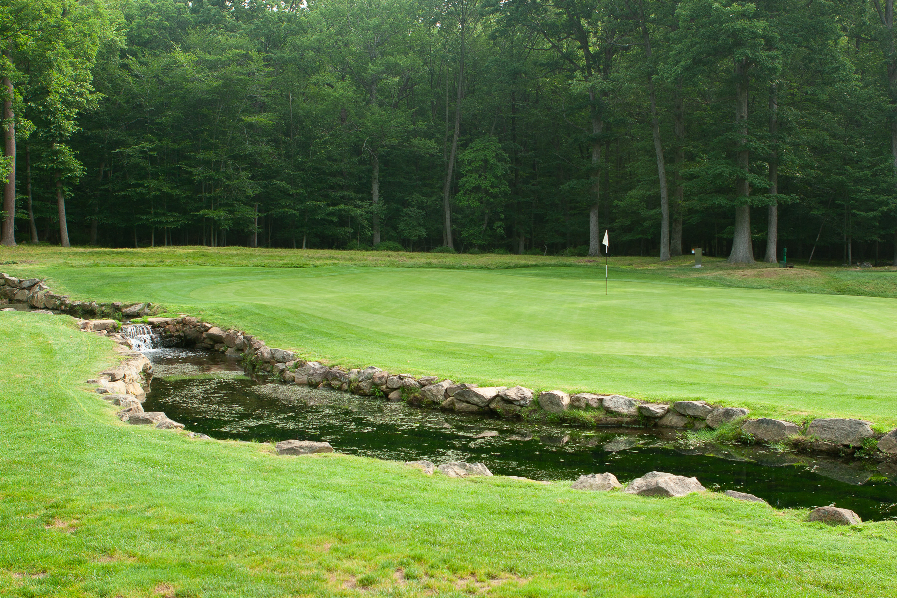 Somerset Hills 15th-Tillinghas