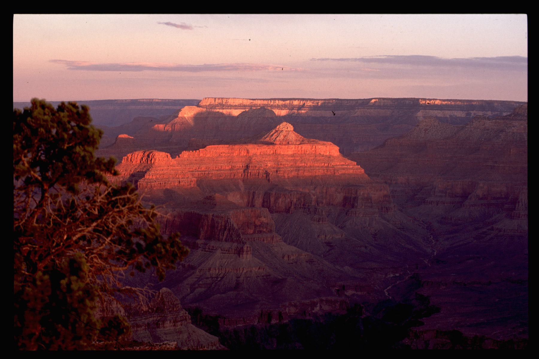 Grand Canyon