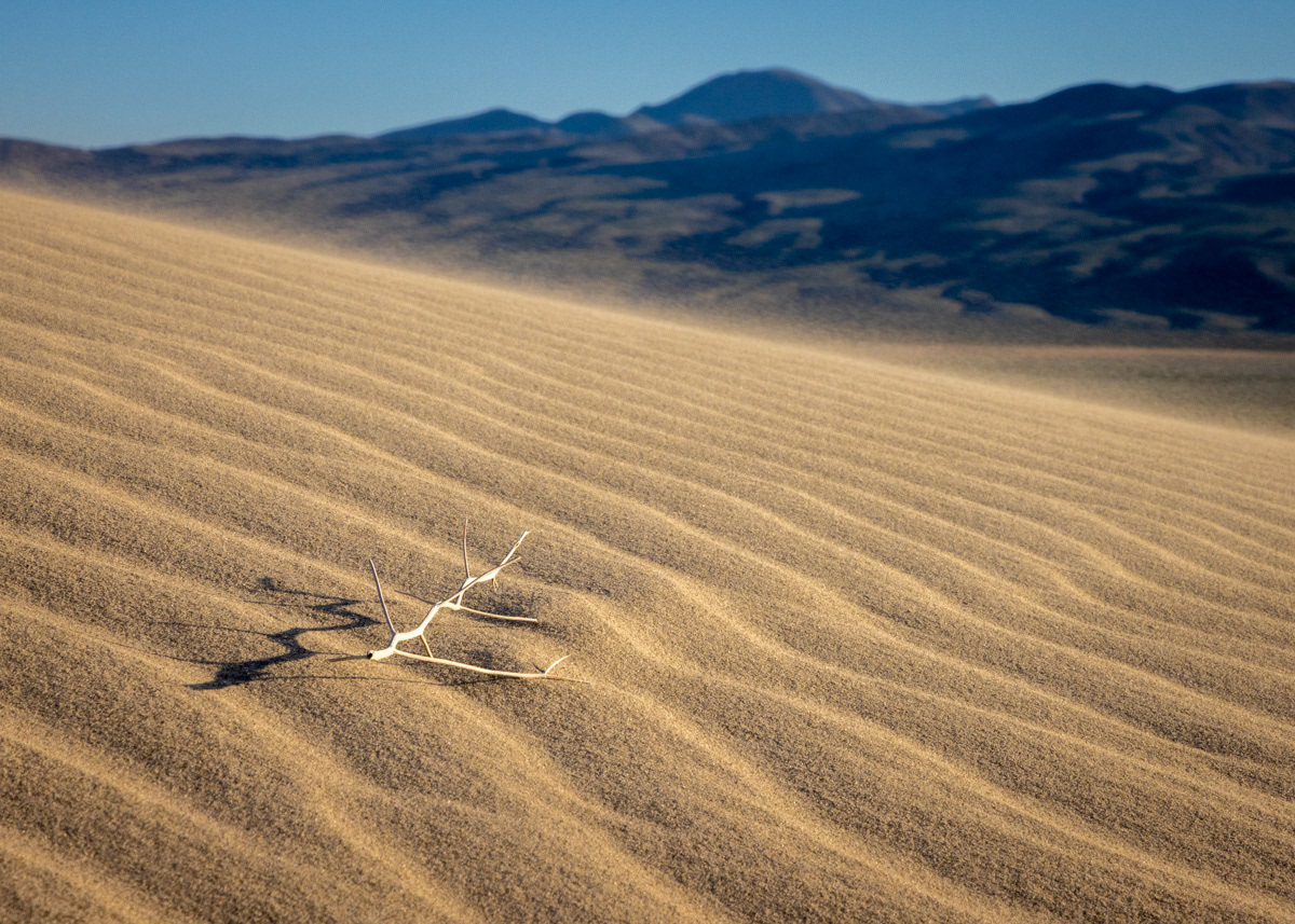 Eureka Dunes