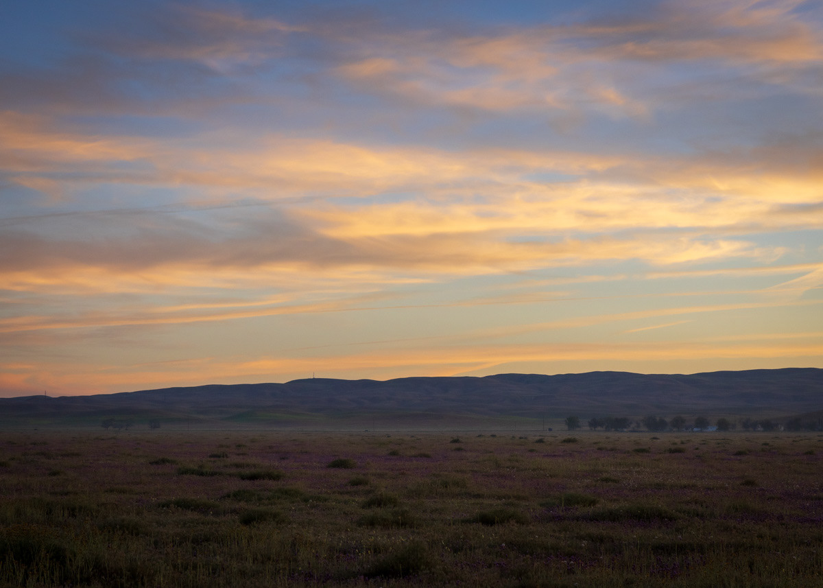 Down on the Carrizo Plain