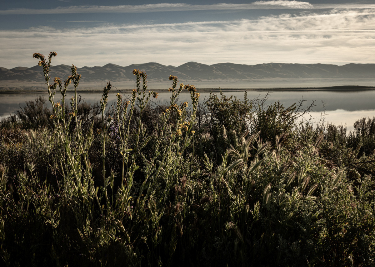 Soda Lake, Carrizo Plain