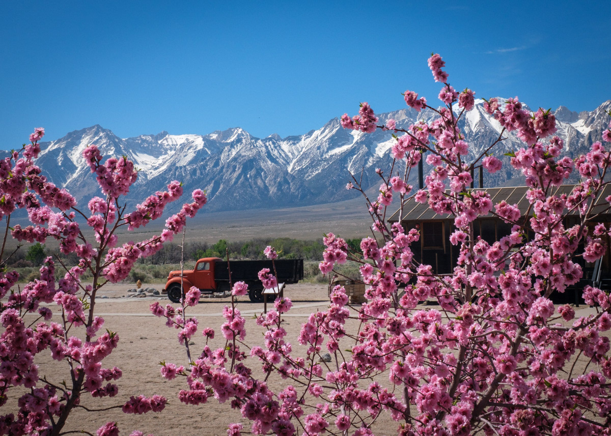 Manzanar