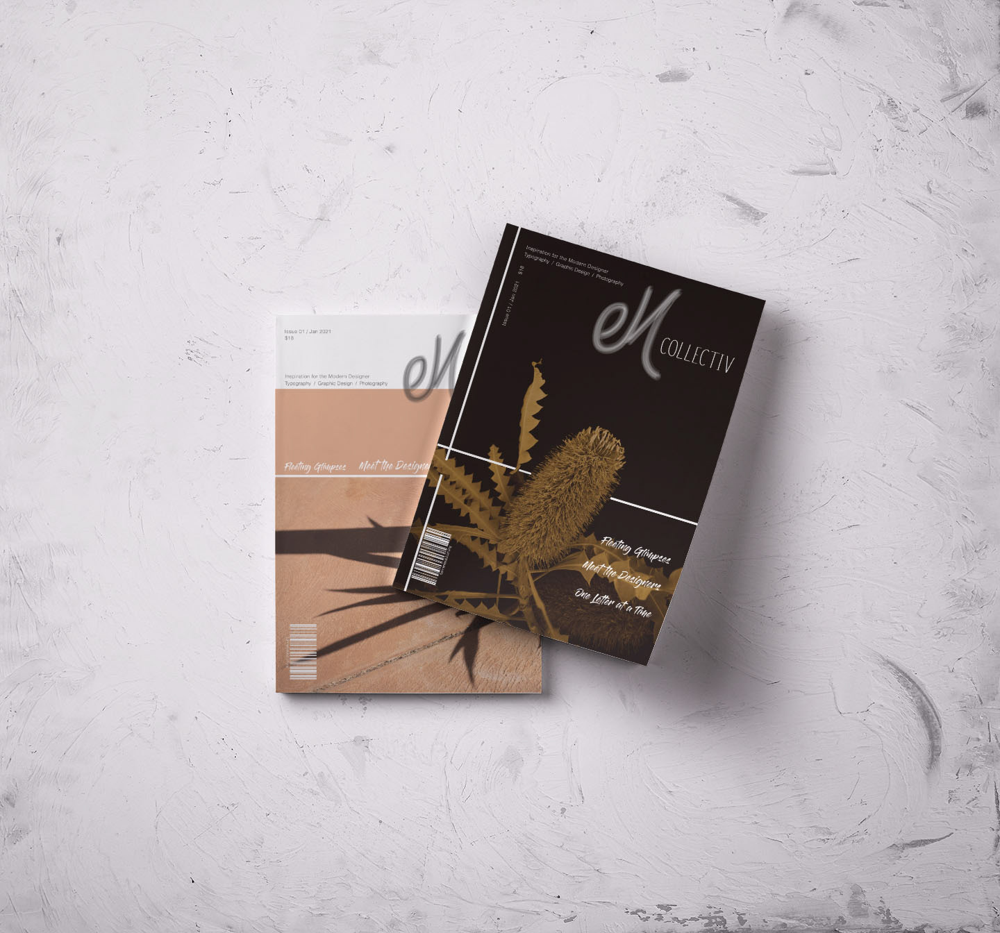 Two alternate cover designs