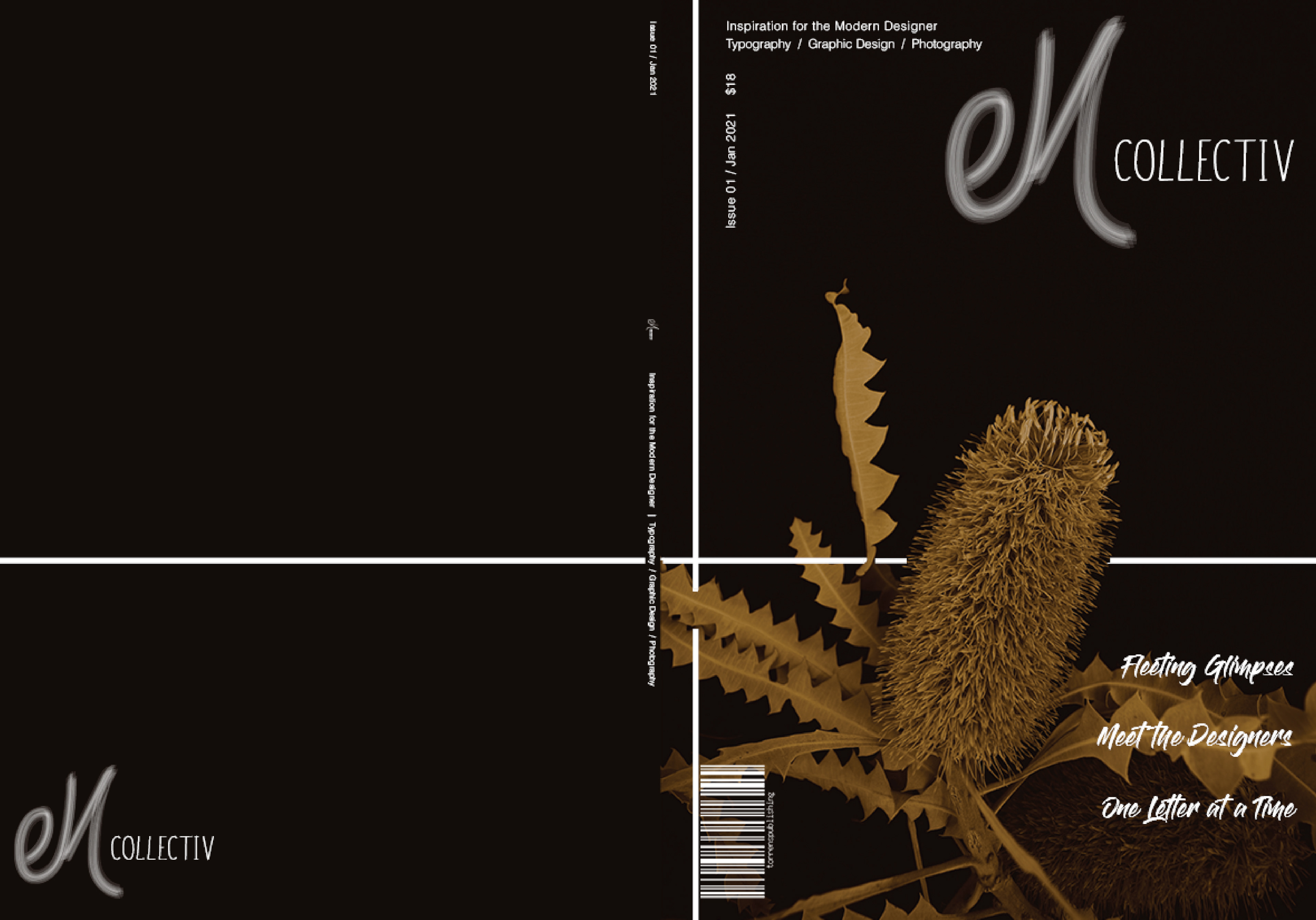 Tri-tone edited Banksia Image