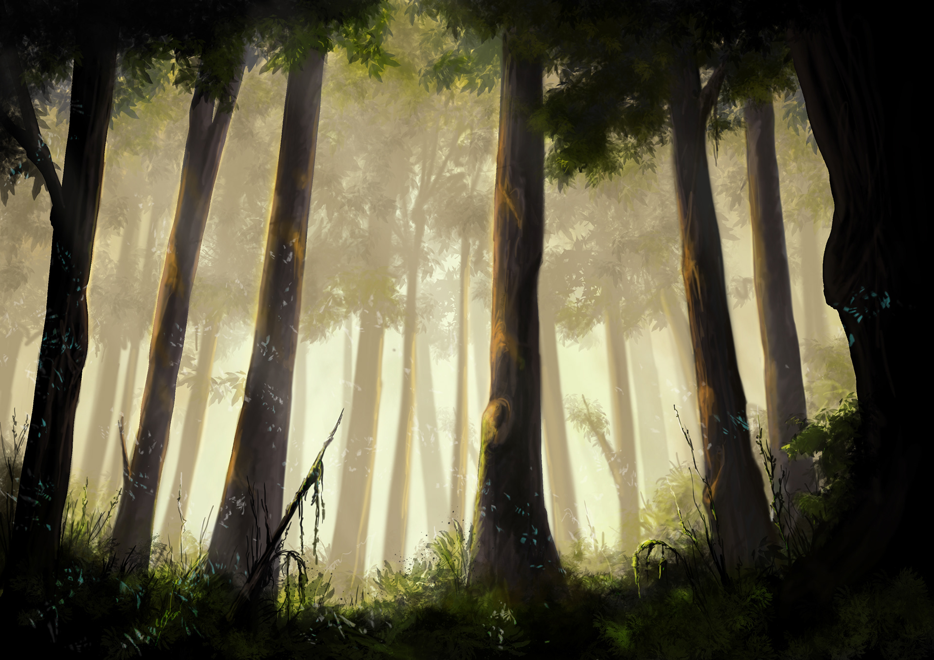 FOREST ILLUSTRATION