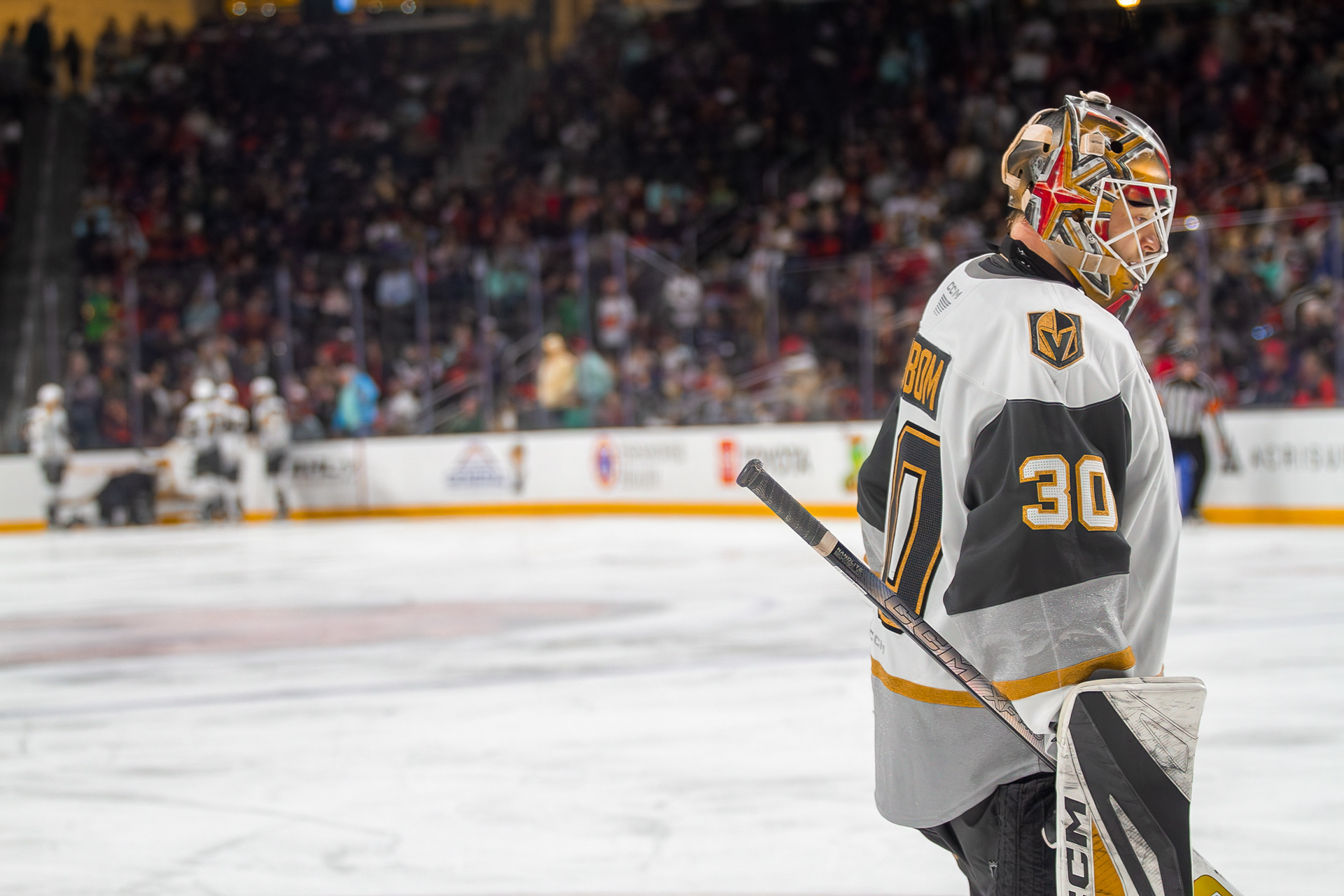 Coachella Firebirds Hockey