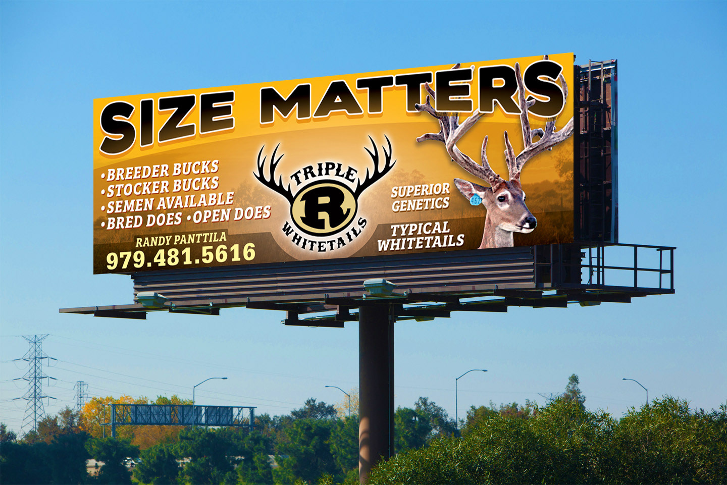 Mockup of Billboard design.