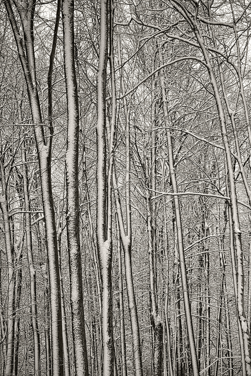 Winchester, MA