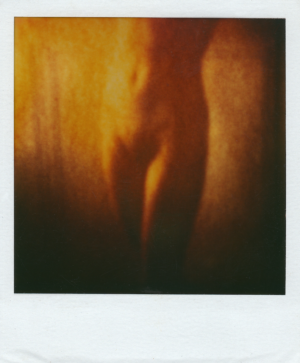 Torso