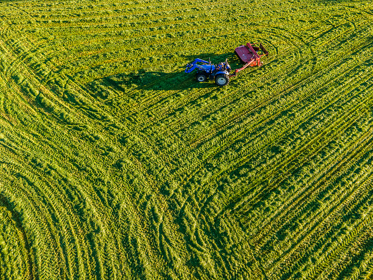 Haying, Lancaster, NH