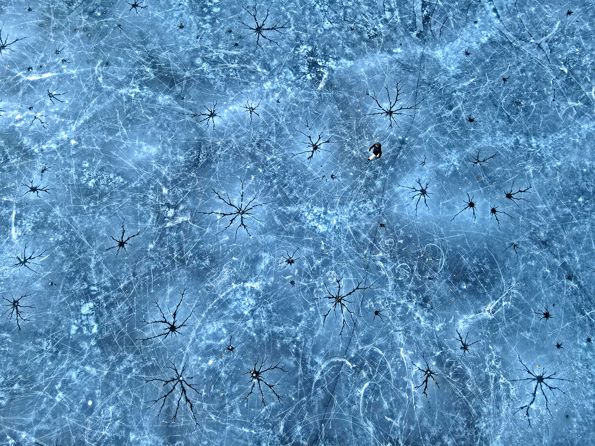 Winter Pond, Winchester, MA