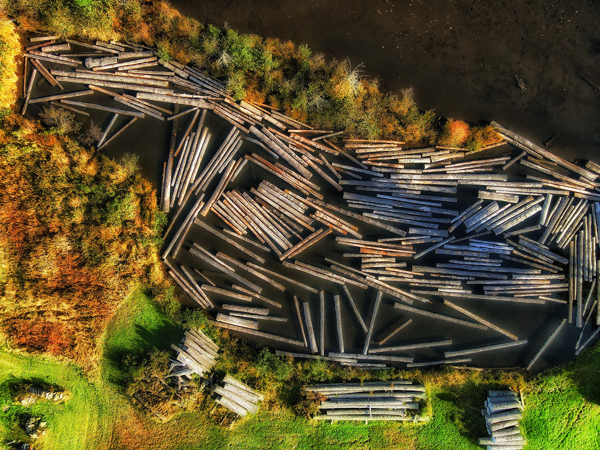 Frank Siteman Drone works