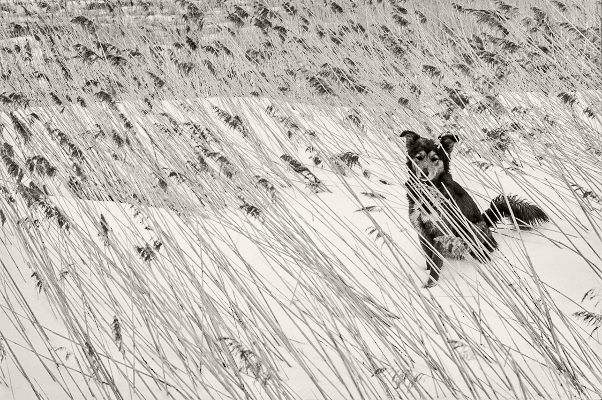 Wingaersheek Beach, Gloucester, MA