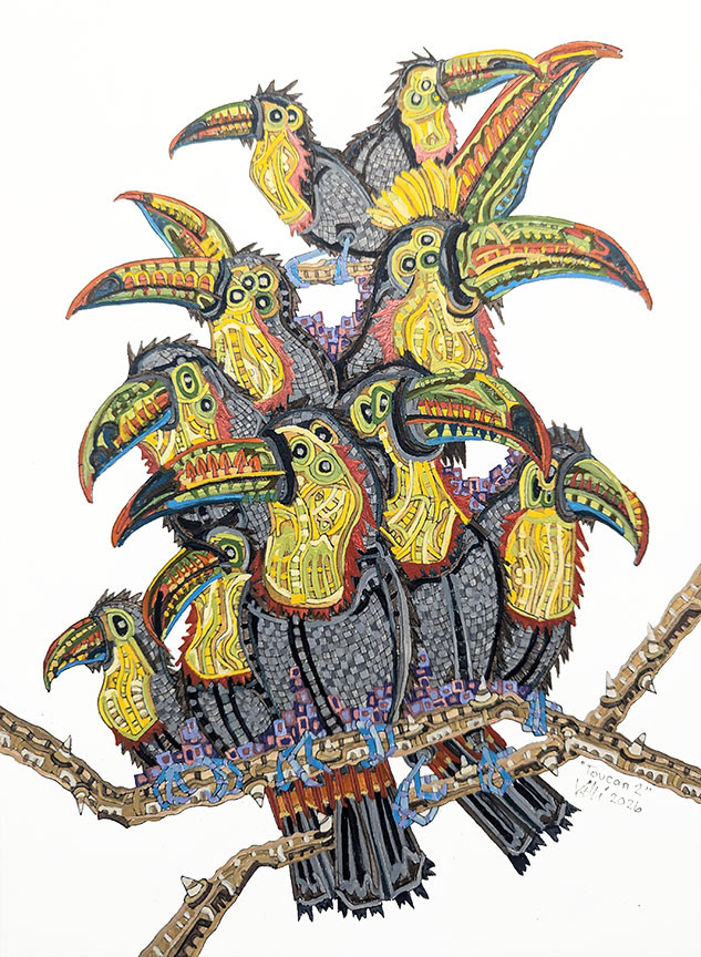 Toucans 2