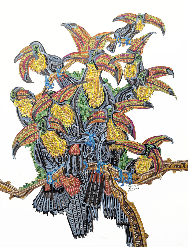 Toucans 3