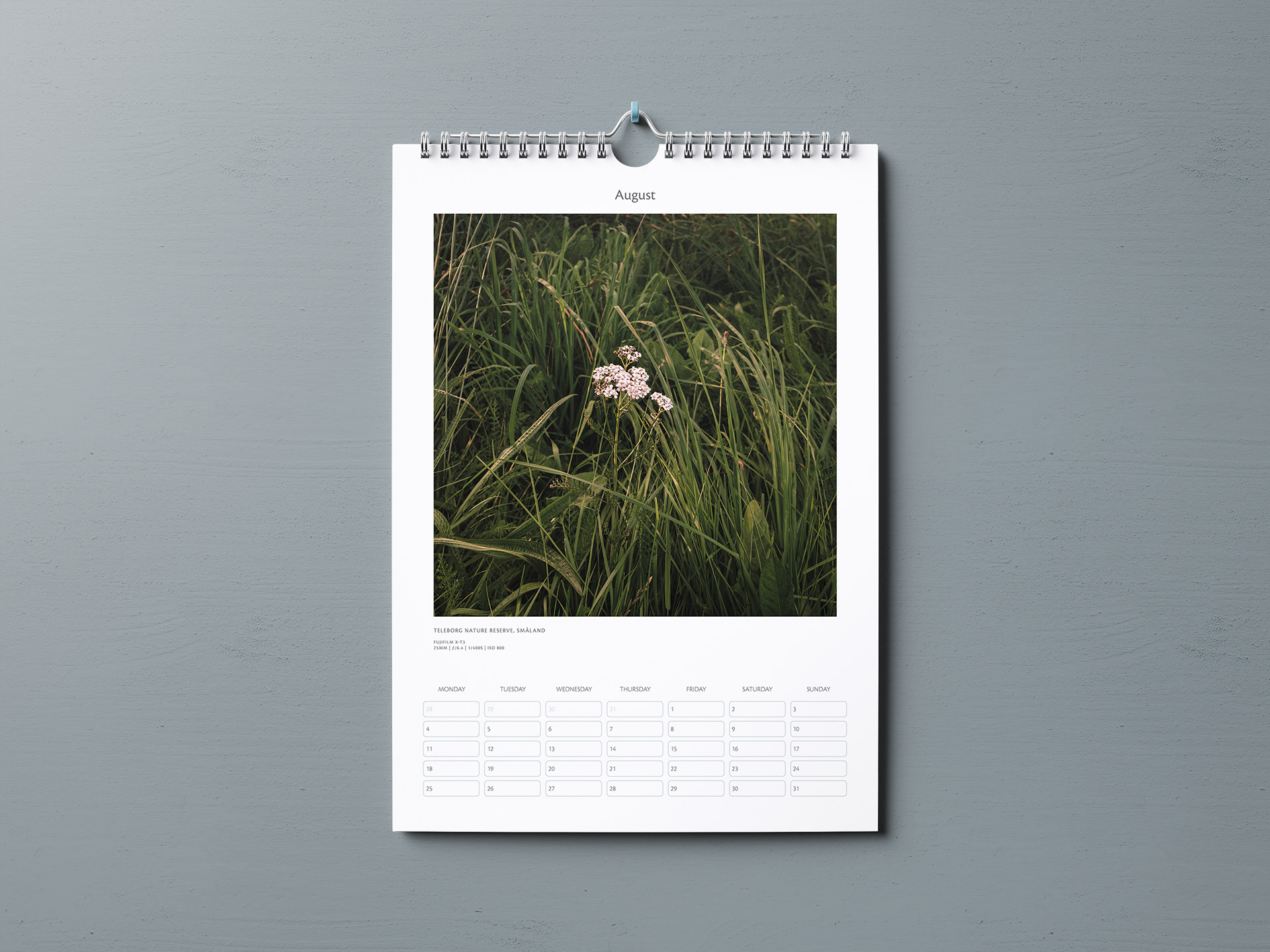 aug