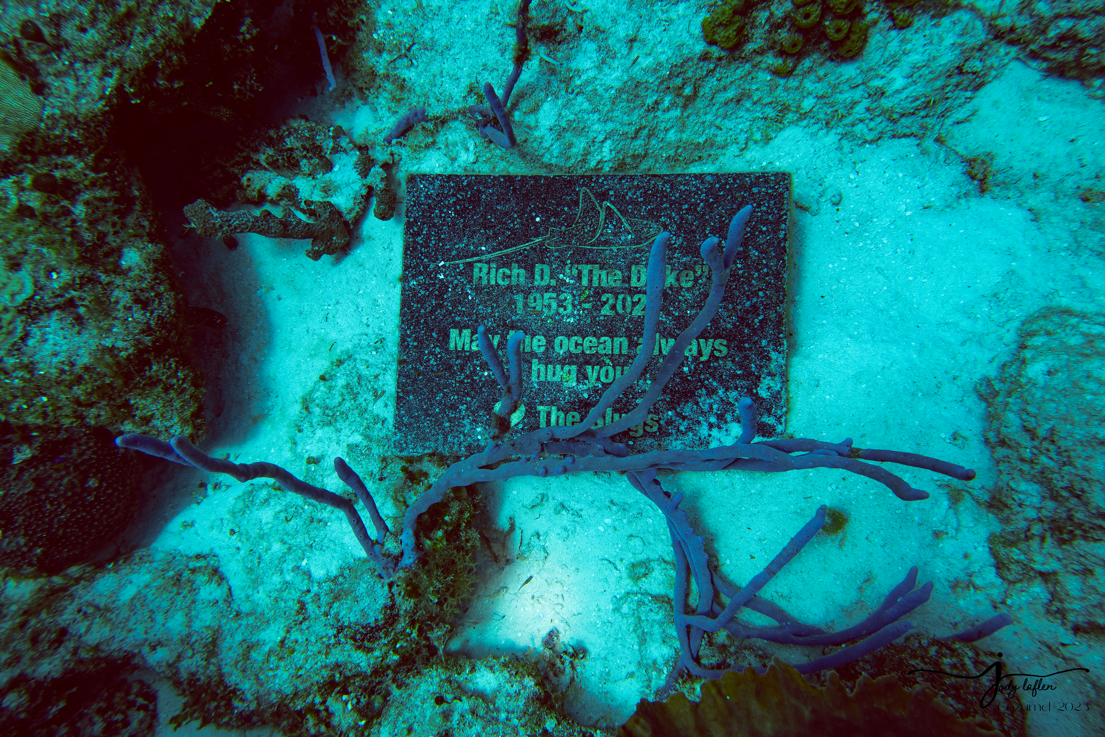 Sea Memorial