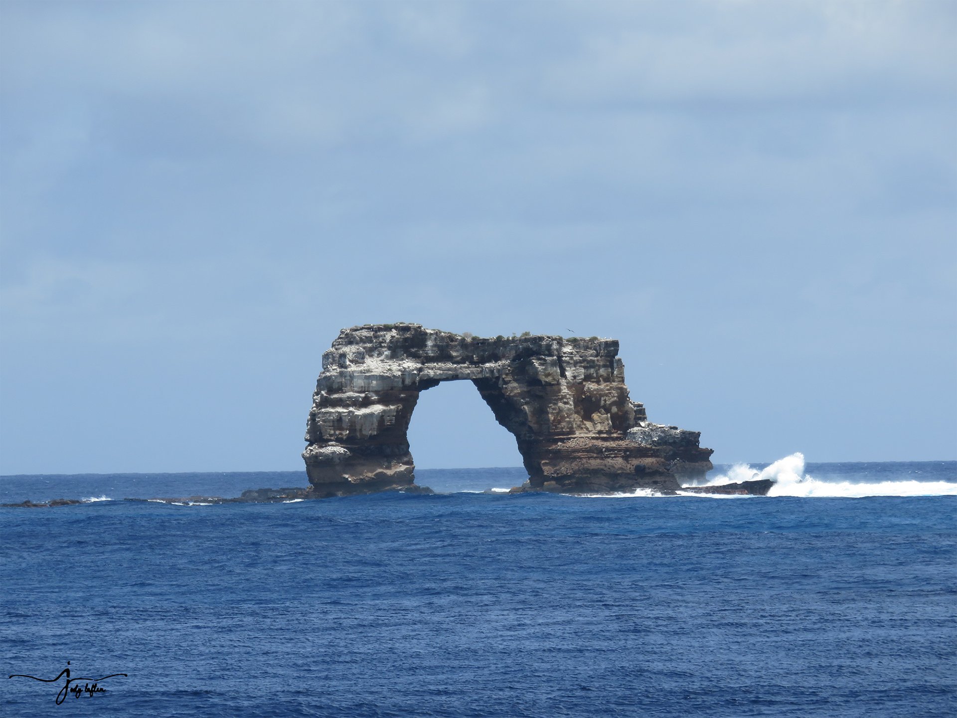 Darwin's Arch 2015
