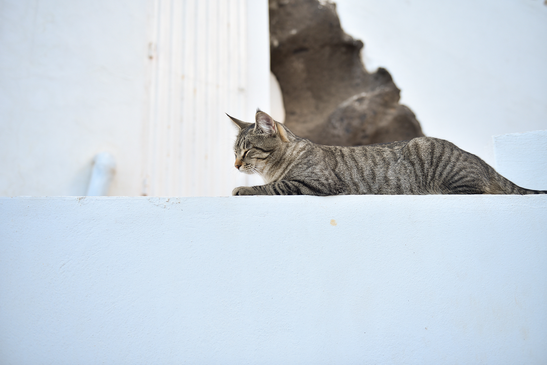 Gran Canaria, Spain - Dec 2019