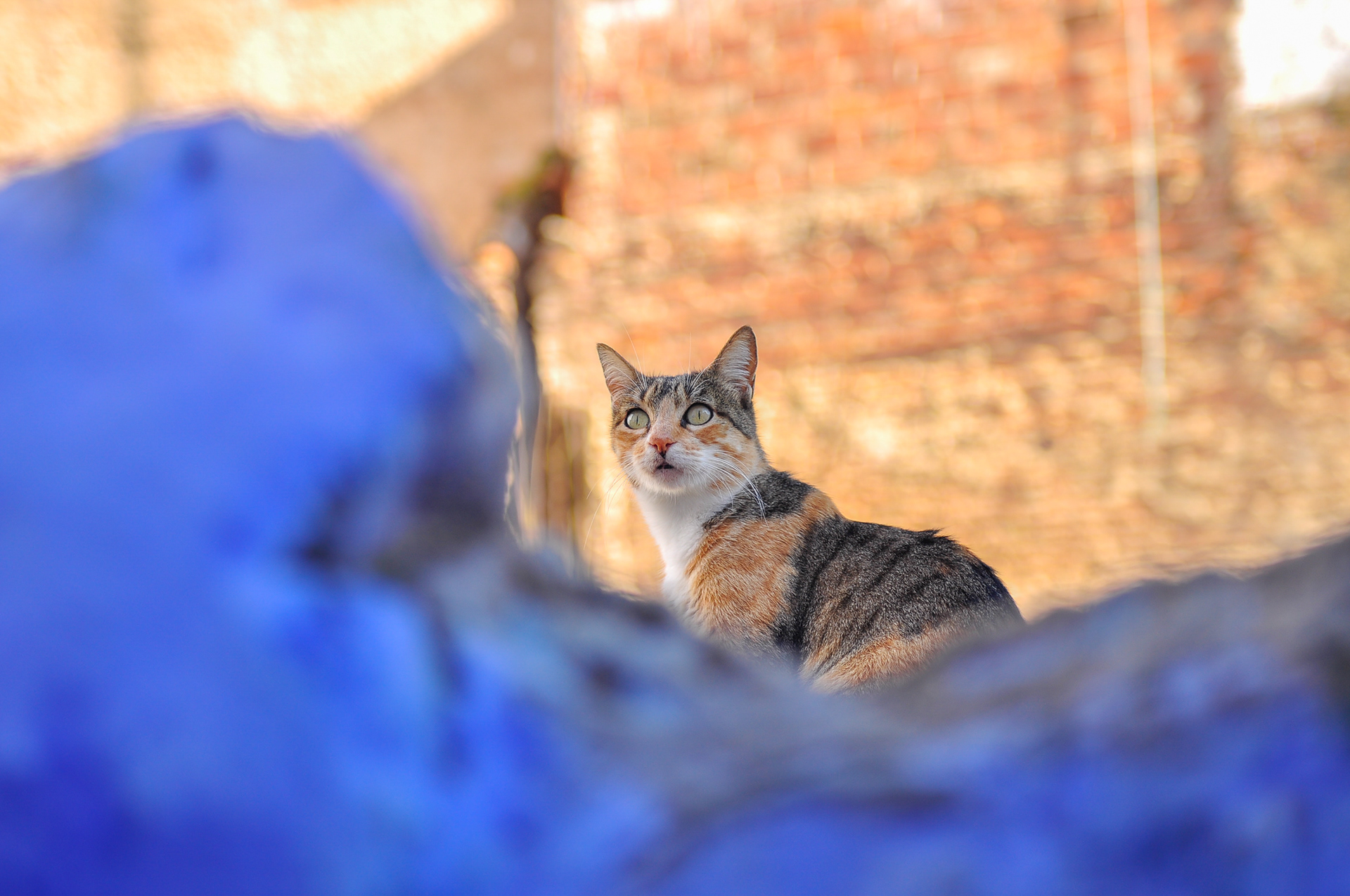 Chefchaouen, Morocco - Dec 2016